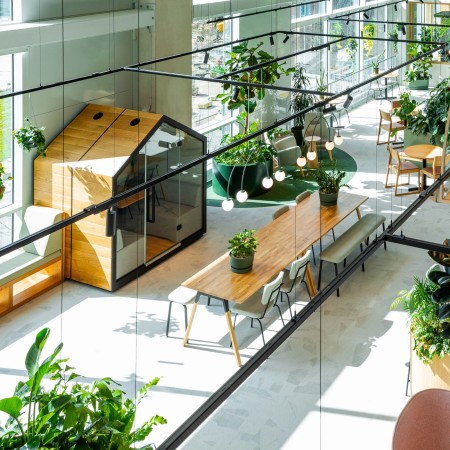 Cabine Treehouse deux places, finition mêlant bois naturel et cadre noir. - Treehouse