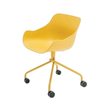 Baltic basic de réunion