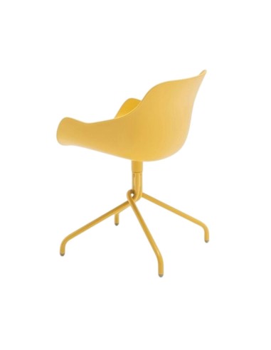 Baltic basic pieds étoile