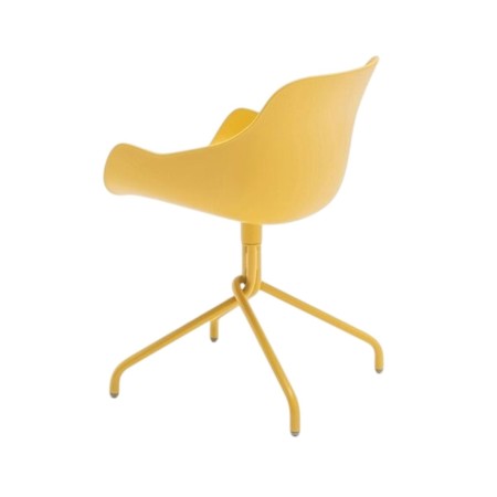 Baltic basic pieds étoile